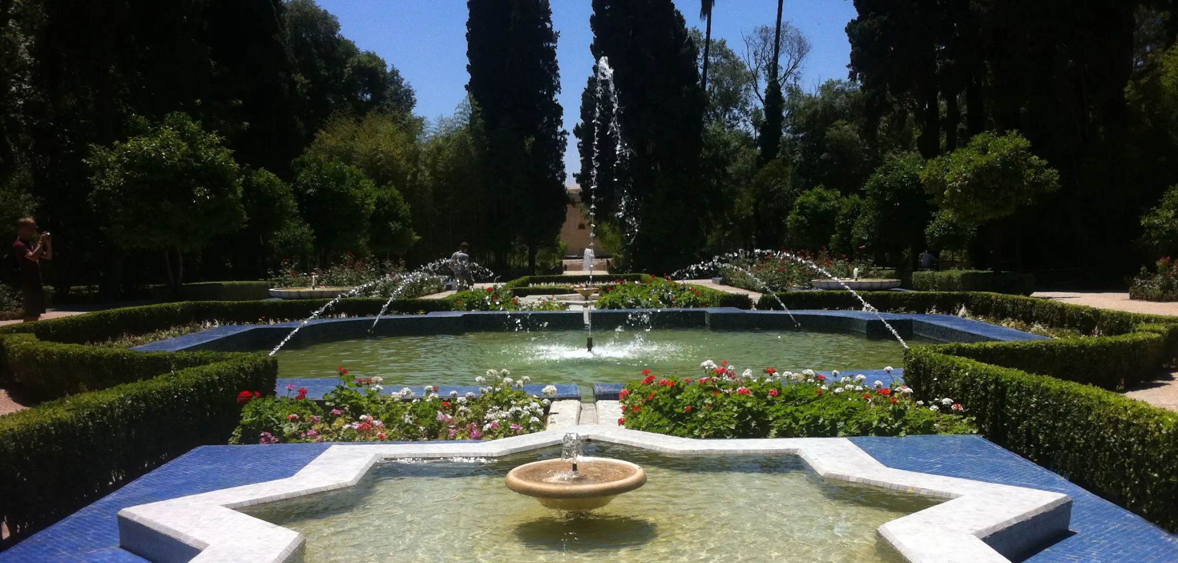 Havenrondvaart Rotterdam