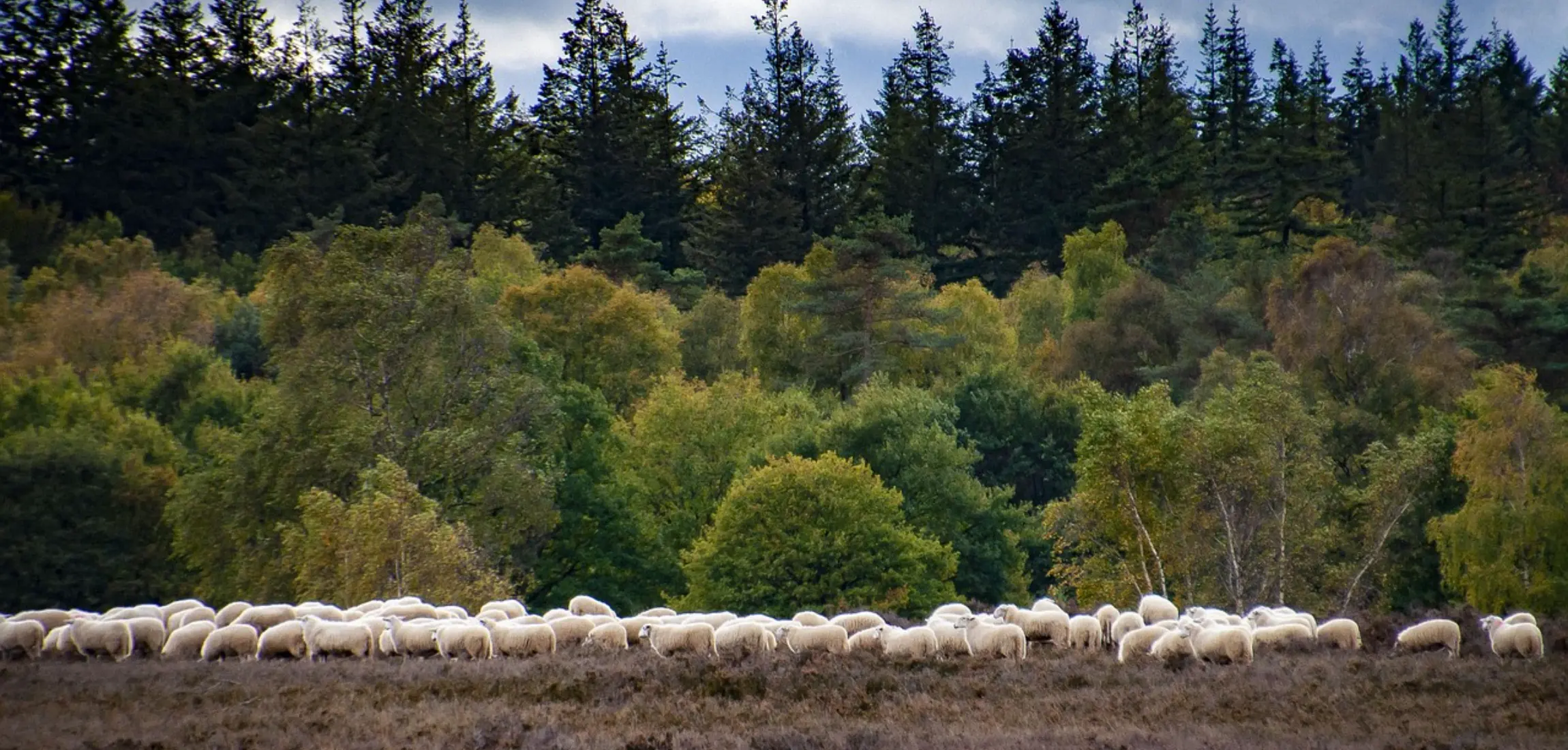 Waar kun je goed verblijven zonder ver te reizen?
