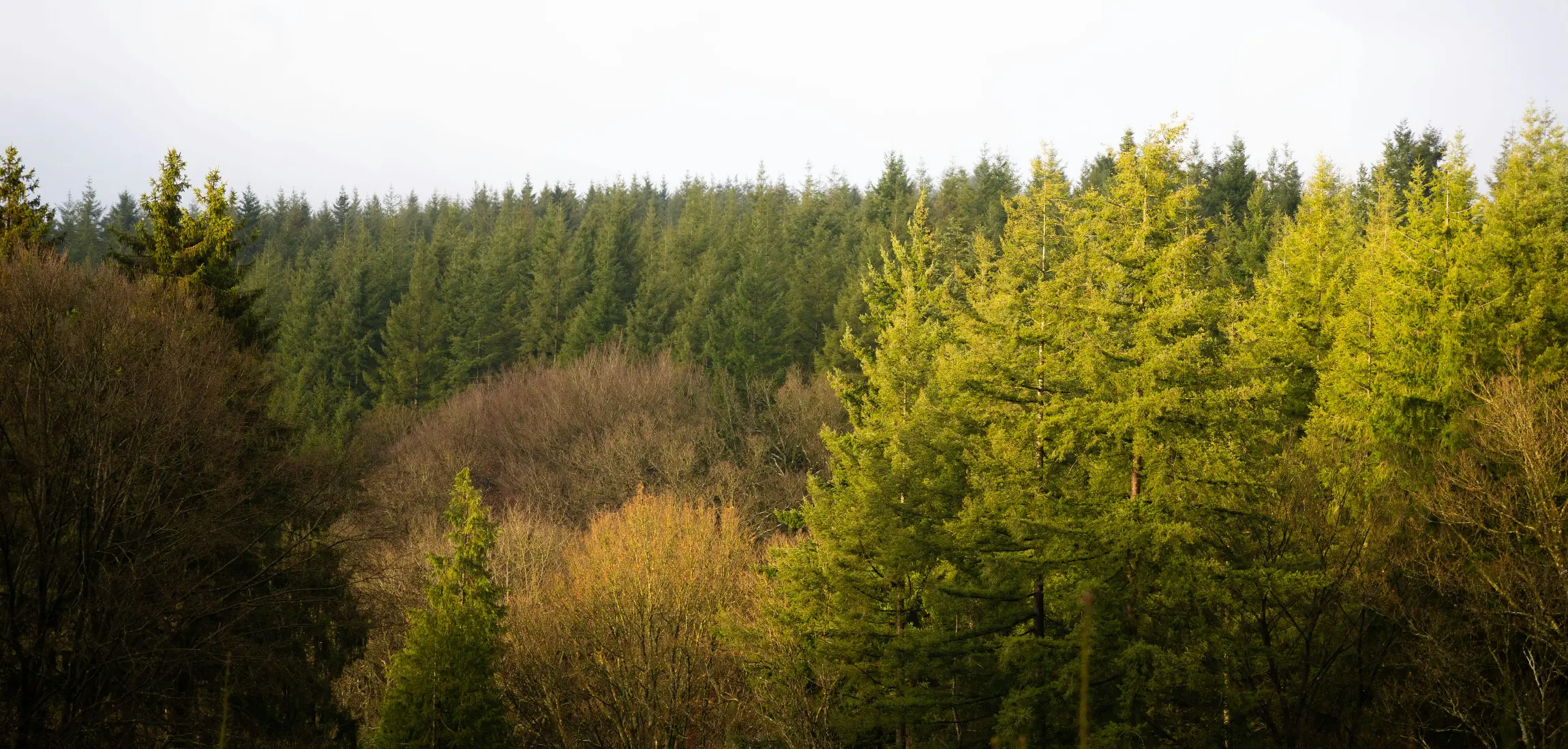 Ontdek de Ardennen