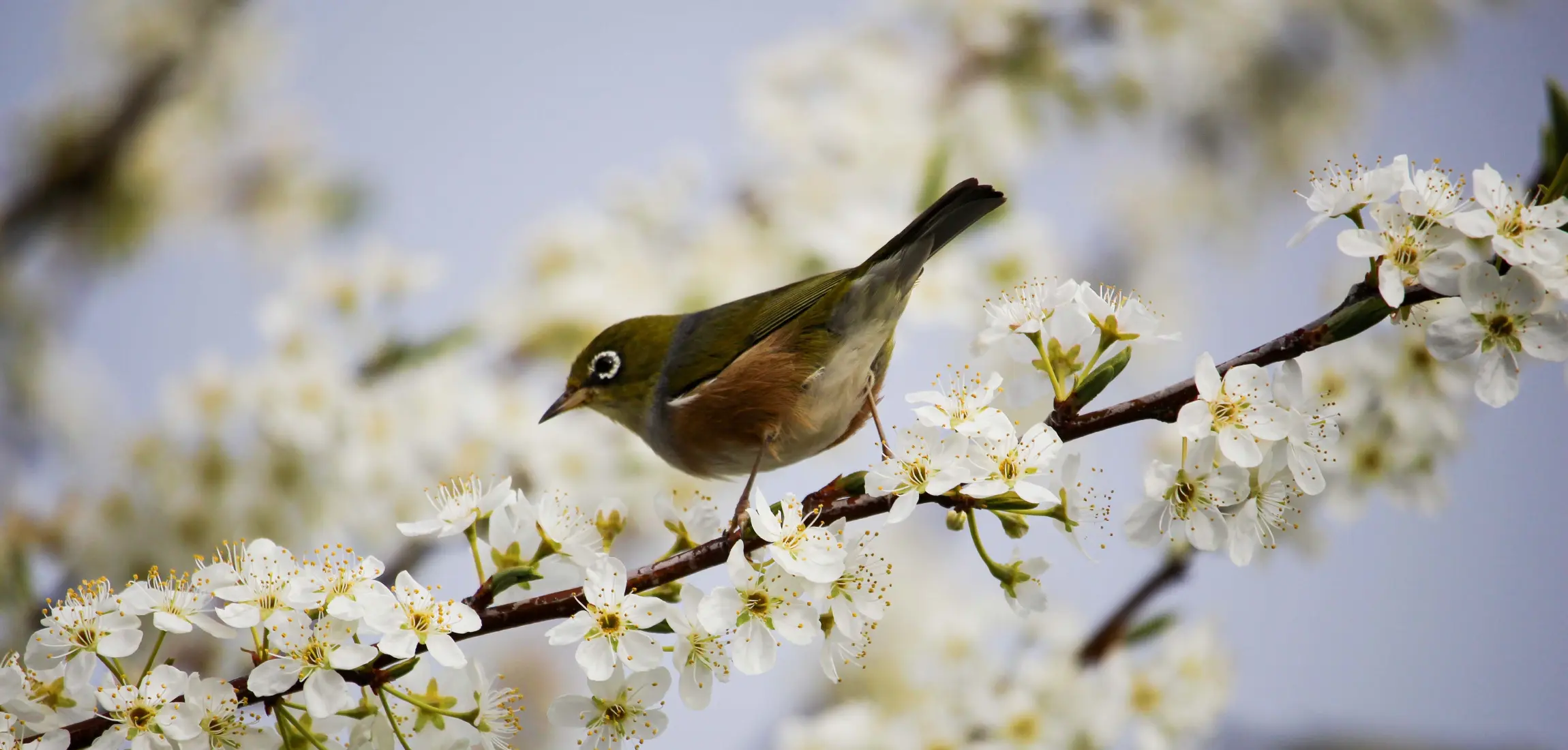 kamperen in de natuur met de camper